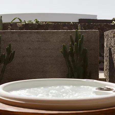 Canaryislandshost I Natural