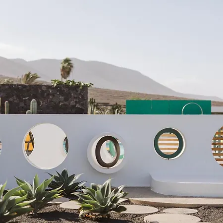 Canaryislandshost I Natural *