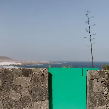 Canaryislandshost I Natural *