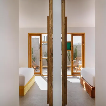 Canaryislandshost I Natural *