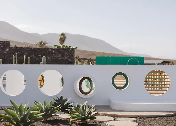 Canaryislandshost I Natural *