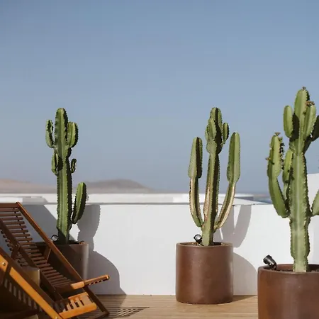 Canaryislandshost I Natural * カレタ・デ・ファマラ