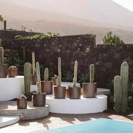 Canaryislandshost I Natural