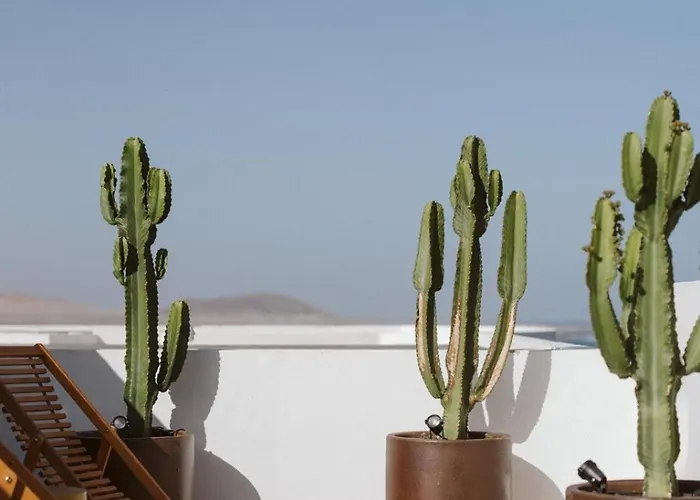 Canaryislandshost I Natural * Famara