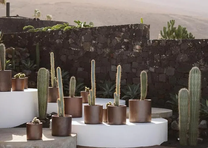 Canaryislandshost I Natural