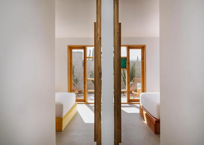 Canaryislandshost I Natural *